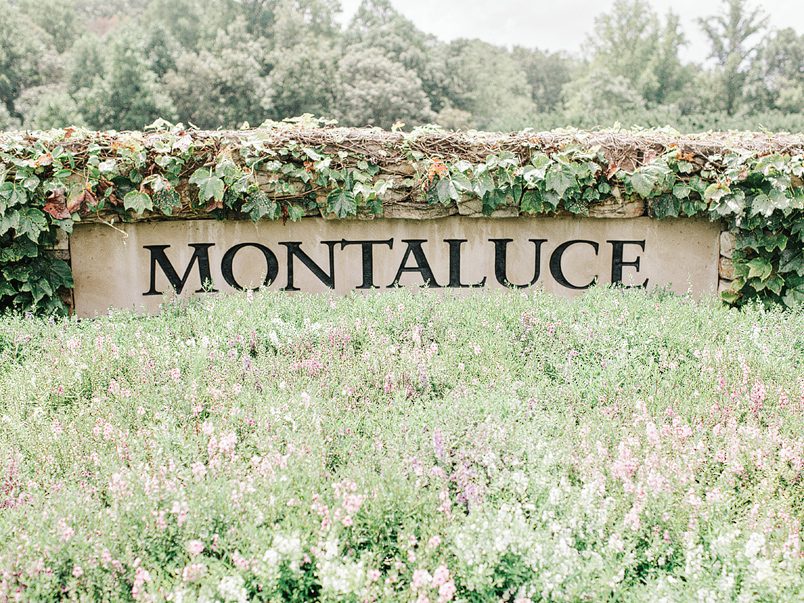 montaluce winery wedding photos0004